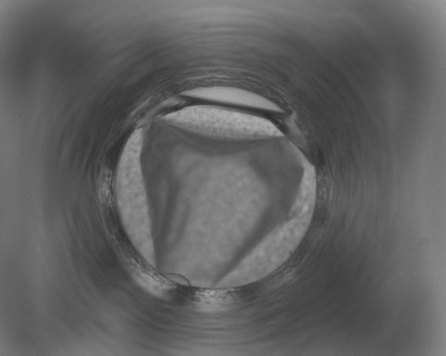 X0000080180141200701051707