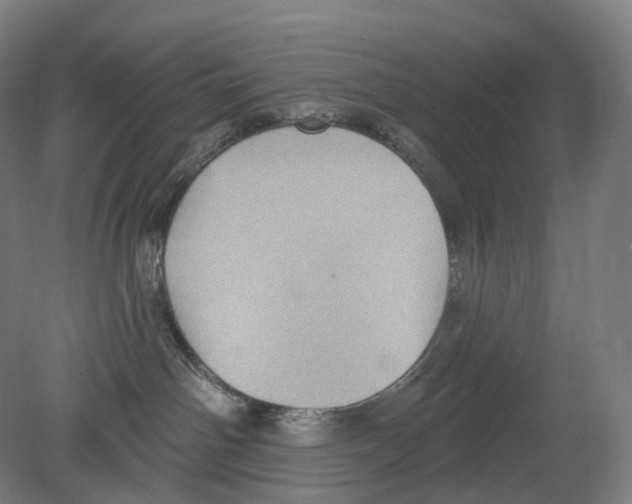 X0000080180142200701051707