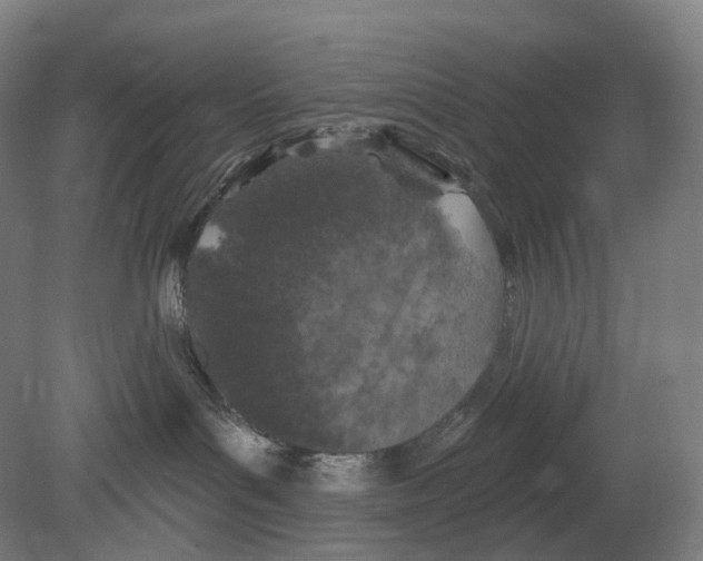 X0000080180143200701051707