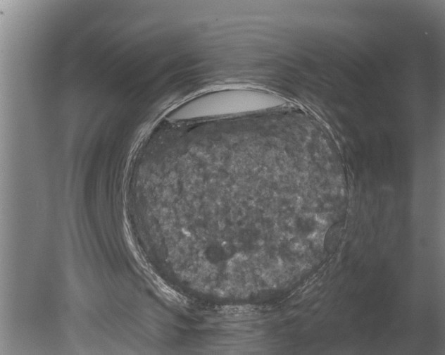 X0000080180145200701051706