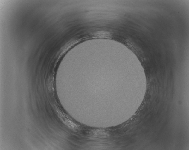 X0000080180146200701051706