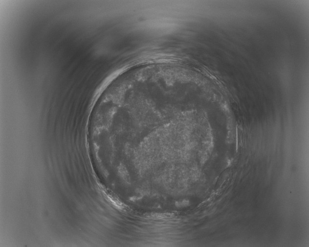 X0000080180147200701051706