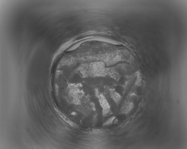 X0000080180149200701051706