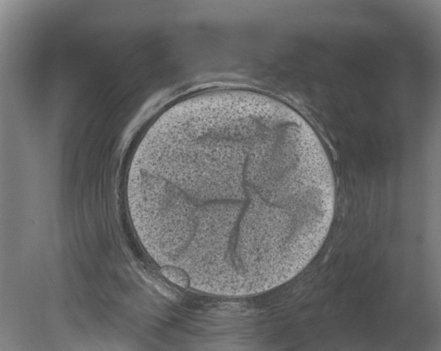 X0000080180151200701051706