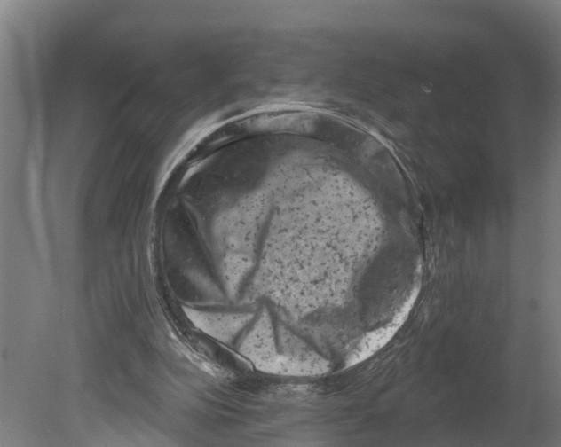 X0000080180152200701051706