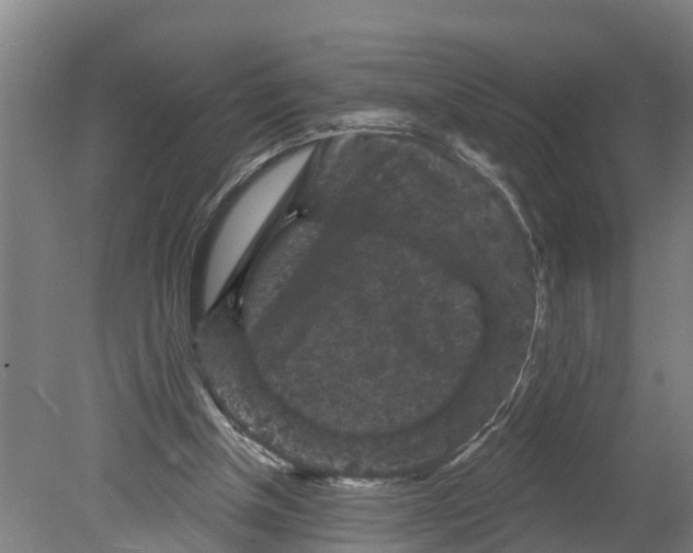 X0000080180154200701051706