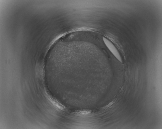 X0000080180156200701051706