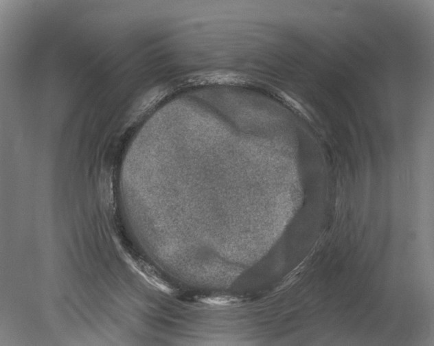 X0000080180158200701051706