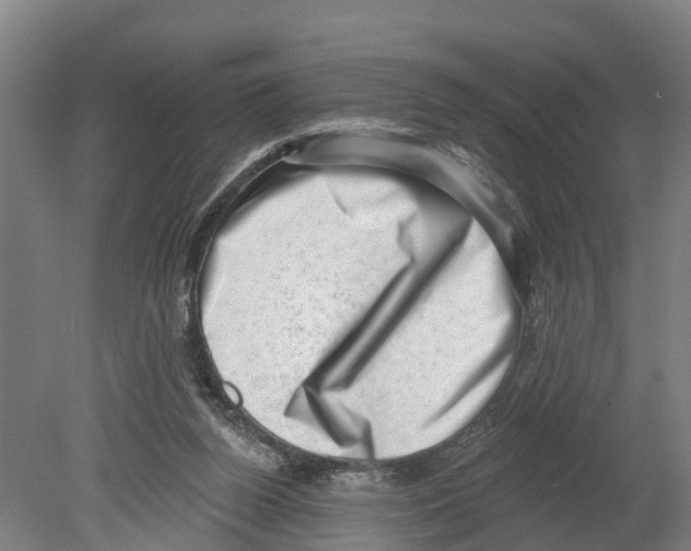 X0000080180160200701051706