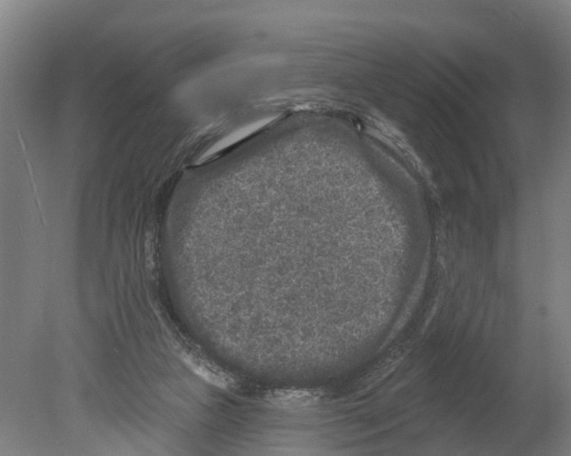 X0000080180161200701051706