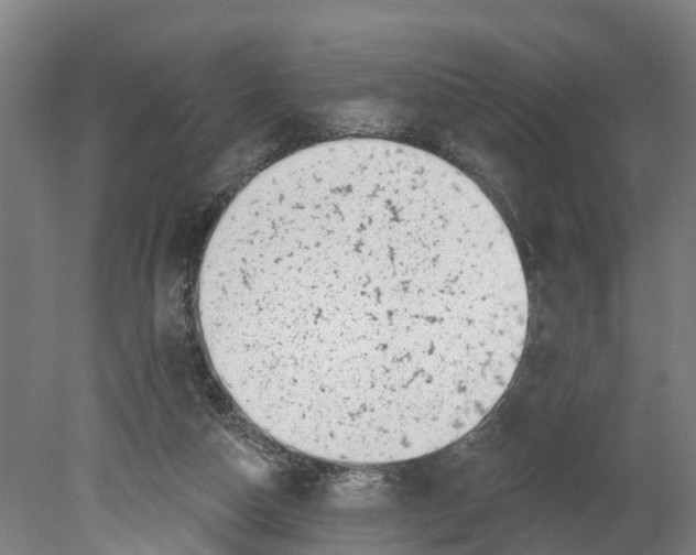 X0000080180162200701051706