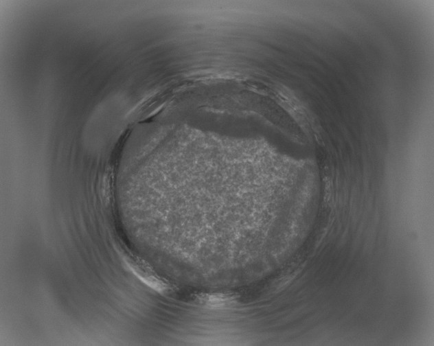 X0000080180165200701051706