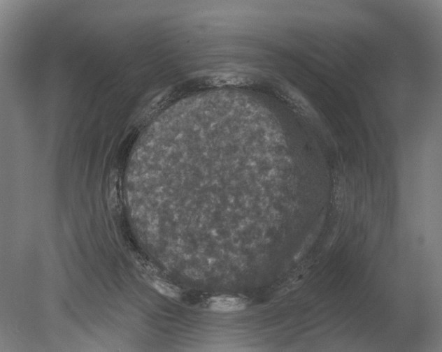 X0000080180169200701051706