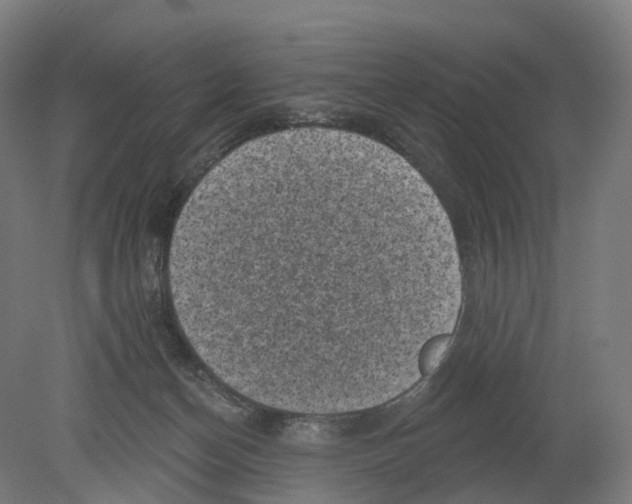 X0000080180174200701051706