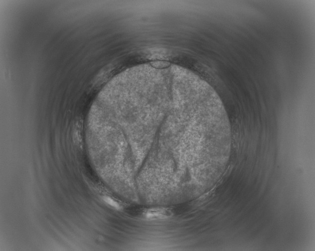 X0000080180175200701051706