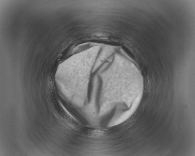 X0000080180176200701051706