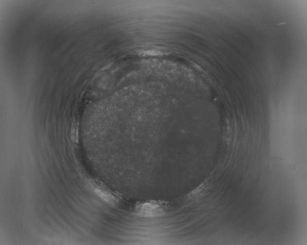 X0000080180180200701051706