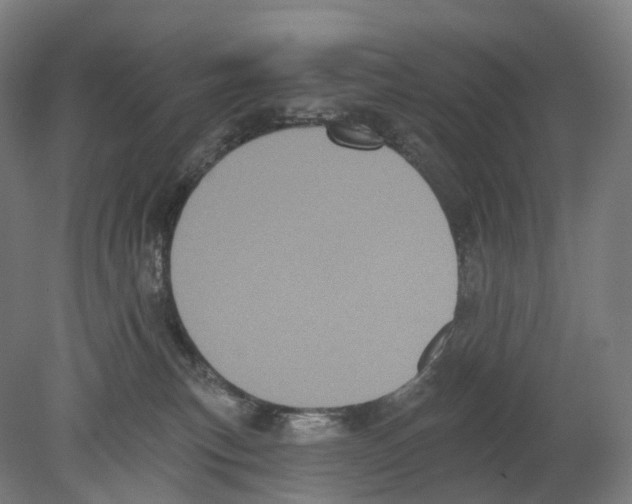 X0000080180183200701051706