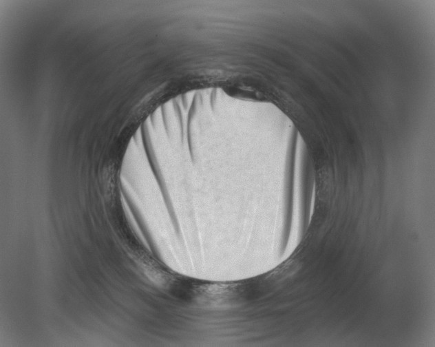 X0000080180184200701051706