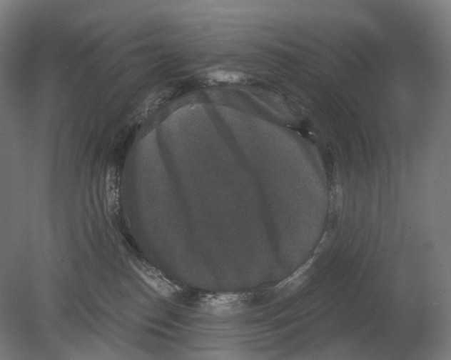 X0000080180186200701051706