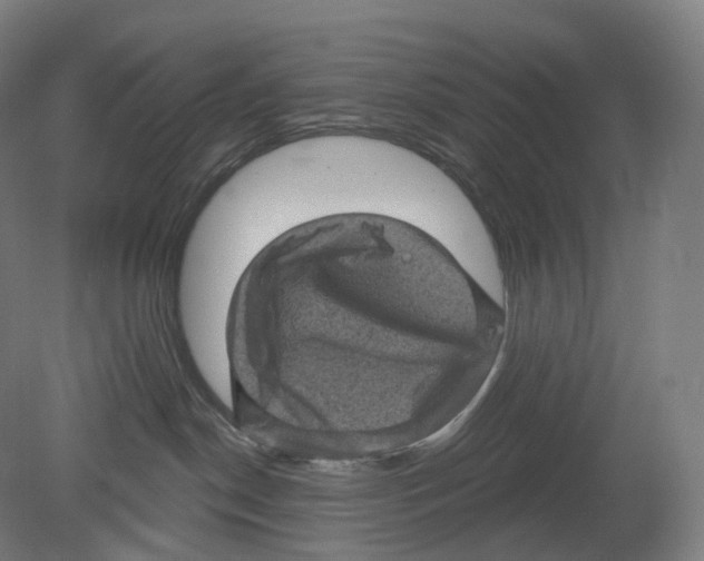 X0000080180190200701051707