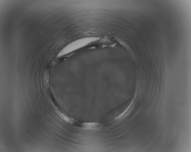 X0000080180192200701051707