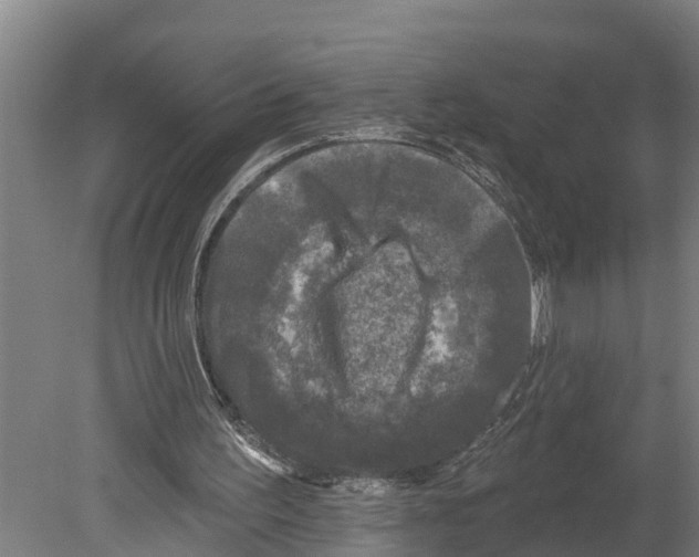 X0000080180195200701051706