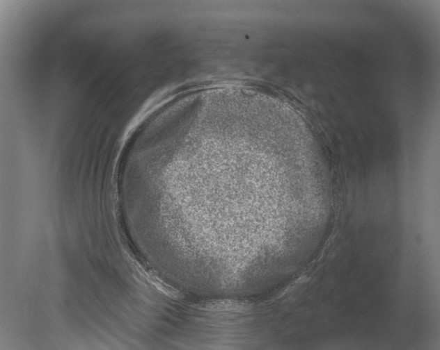 X0000080180198200701051706