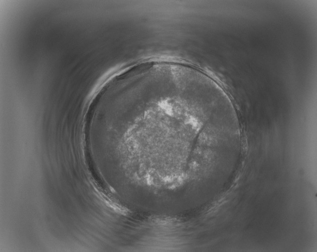 X0000080180199200701051706