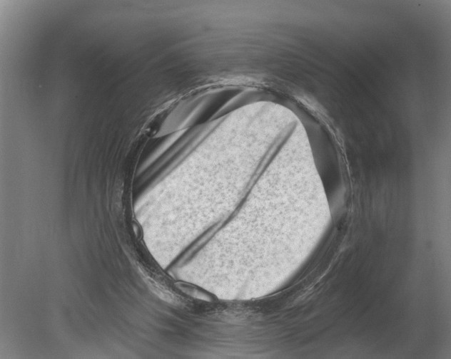 X0000080180201200701051706