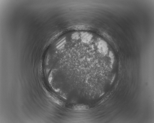 X0000080180202200701051706