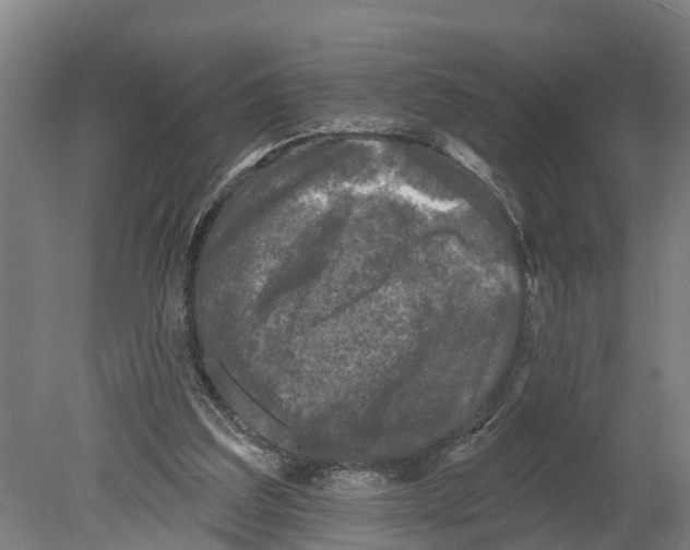 X0000080180203200701051706