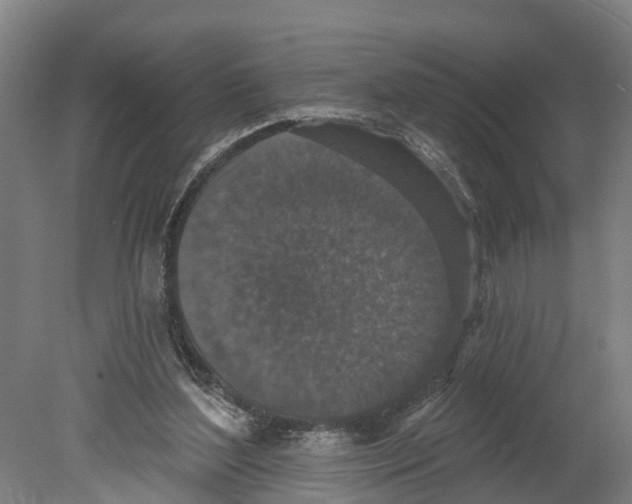 X0000080180204200701051706