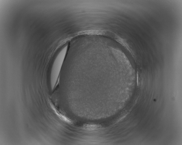 X0000080180205200701051706