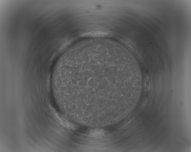 X0000080180206200701051706