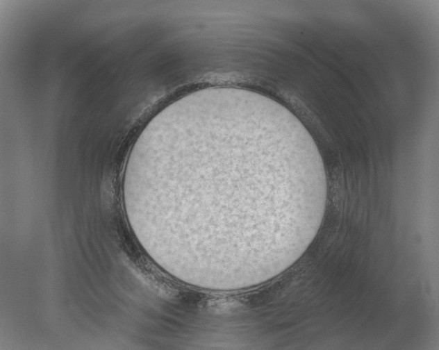 X0000080180208200701051705