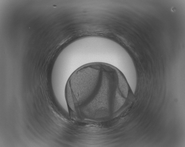 X0000080180211200701051705