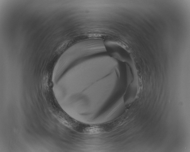 X0000080180219200701051705