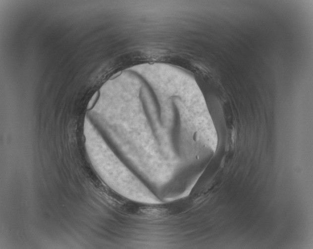 X0000080180221200701051705