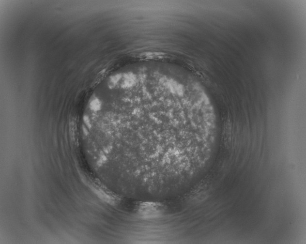 X0000080180222200701051705