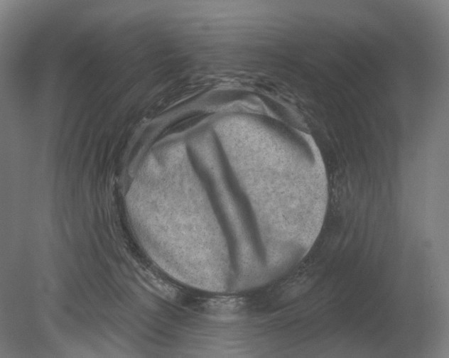 X0000080180225200701051705