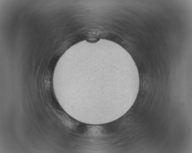 X0000080180226200701051705