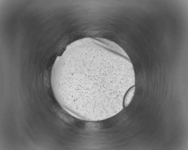 X0000080180234200701051705