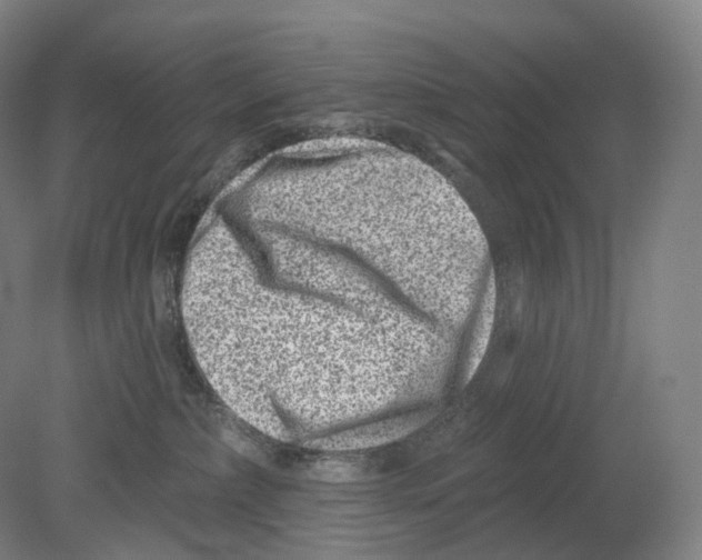 X0000080180236200701051705