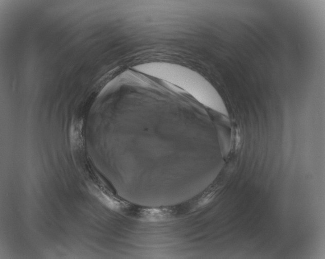 X0000080180239200701051705