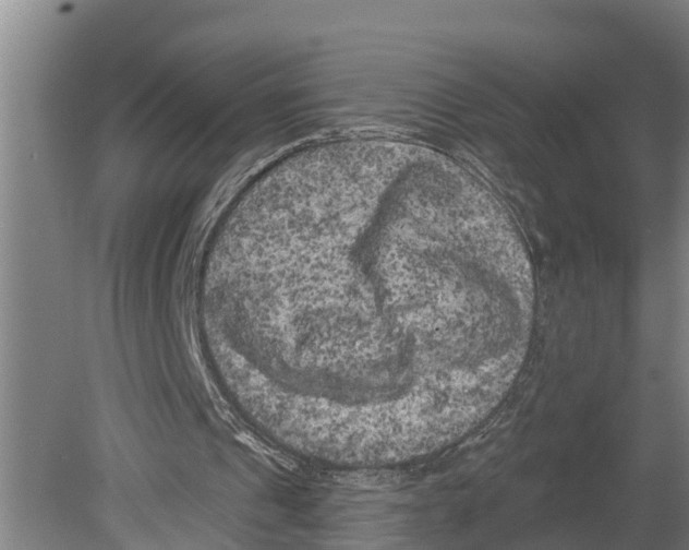 X0000080180241200701051704