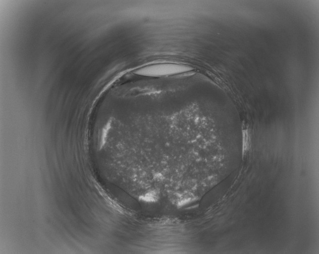 X0000080180243200701051704