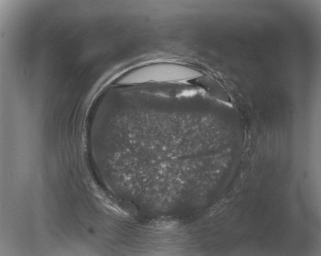 X0000080180247200701051704