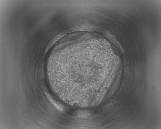 X0000080180250200701051704