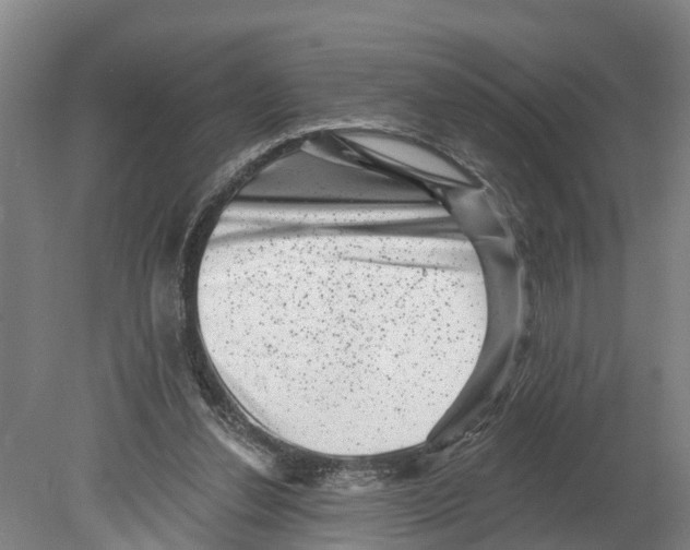 X0000080180252200701051704